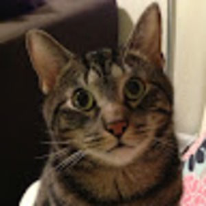 Meet your Posher, Caitlyn